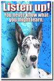 Listen Up! You Never Know What You Might Learn