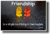 Friendship is a single soul living in two bodies - Aristotle (Gummy Bears)