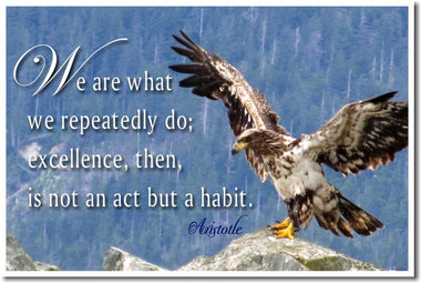 We are what we repeatedly do; excellence, then, is not an act but a habit - Aristotle - Poster