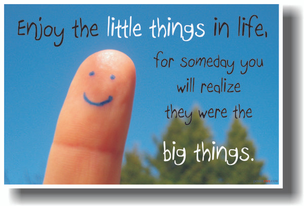 Enjoy the Little Things in Life MOTIVATIONAL POSTER 