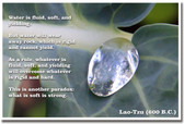 What is Soft is Strong - Lao-Tzu (600 B.C.)