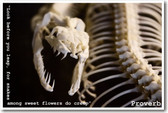 Look before you leap, for snakes in sweet flowers do creep