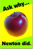 Ask Why - Newton Did - Classroom Motivational Poster Print