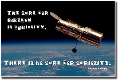 The Cure for Boredom is Curiosity - Motivational Science Poster Print Gift