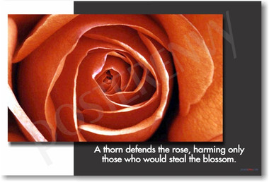 A Thorn Defends the Rose - Classroom Motivational Poster Print Gift