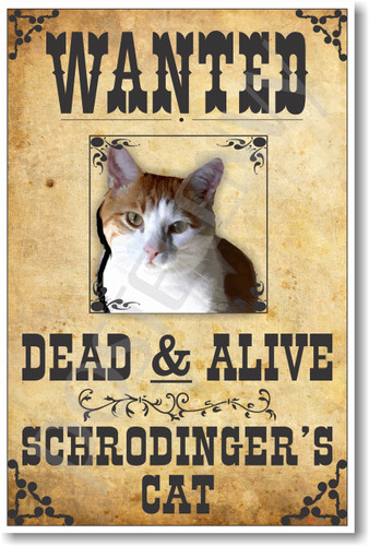 PosterEnvy - Wanted - Schrodingers Cat 