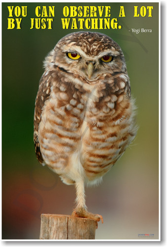 Owl on One Leg - You Can Observe a Lot By Just Watching - Yogi Berra - NEW Humor PosterEnvy Poster