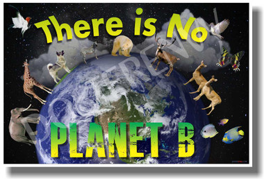 There Is No Planet B - Classroom Motivational PosterEnvy Poster Print Gift