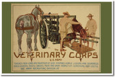 Veterinary Corps - U.S. Army