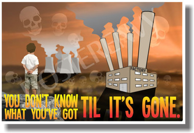 Apocalypse - You Don't Know What You've Got Til It's Gone - NEW Classroom Ecology Motivational PosterEnvy Poster