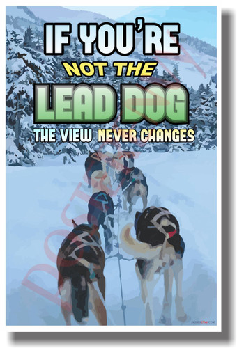 Snow Sled Dogs - If You're Not The Lead Dog The View Never Changes - NEW Classroom Motivational PosterEnvy Poster (cm1002)