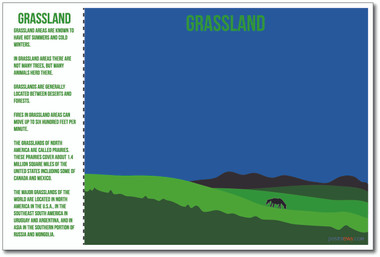 Grassland - NEW World Habitat Ecosystems Poster (ms269)
