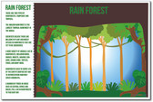 Rainforest Science Rain Forest Amazon NEW World Habitat Ecosystems Poster (ms271)