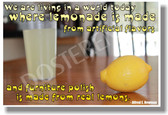 Lemonade - NEW Humorous Quote Poster