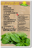 Food More Than Sum Parts Spinach NEW Health & Nutrition Poster (he044) PosterEnvy Vegetables