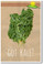 GOT KALE? - NEW Healthy Snacks and Nutrition Poster (he050) PosterEnvy Veggies Greens 
