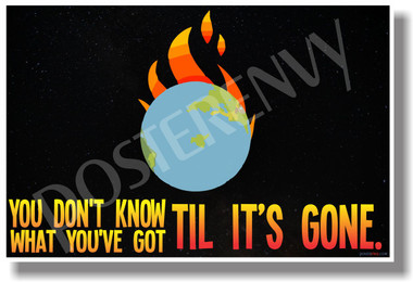 You Don't Know What You've Got Til It's Gone - NEW Classroom Motivational Poster (cm1033) PosterEnvy Earth Fire Global Warming Climate Change Carbon Footprint