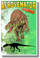 Afrovenator - Carnivore - NEW Dinosaur Science Poster (an228) PosterEnvy 