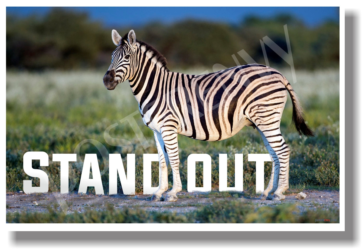 STAND OUT - Zebra - Positive Attitude Motivational Classroom Poster (cm1046)