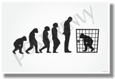 Cage Evolution New Darwin Humor Poster (hu309) PosterEnvy Ape Prison Jail 