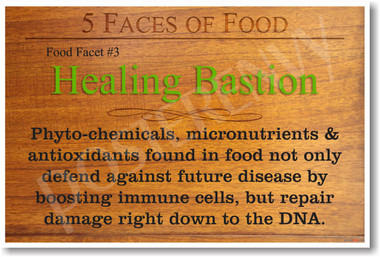 5 Faces of Food Healing Bastion NEW Healthy Health Foods and Nutrition Poster (he062)