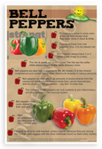 Bell Peppers Healthy Foods Nutrition Educational 12x18 US Made Poster