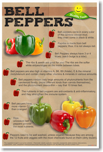 Healthy Foods Bell Peppers NEW Health Food Nutrition Poster vegetables veggies organic snacks lunch healing cure cancer (he066)