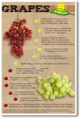 Healthy Foods Grapes NEW Health Food Nutrition Poster fruit cure healing (he067)