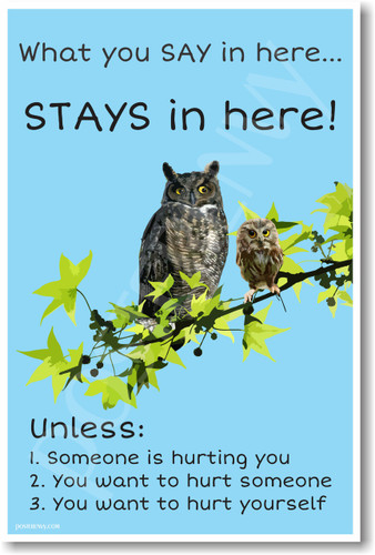 What You Say Stays In Here NEW School Guidance Counselor POSTER bullying owls students (he070)