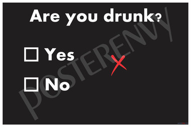 Are You Drunk? Yes No NEW Alcohol Drinking Joke Dorm College Alcohol Beer Bar Crawl Humor POSTER (hu325)