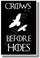 Crows Before Hoes Game of Thrones HBO NEW Funny POSTER (hu327)