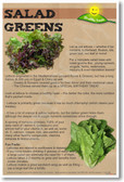 Salad Greens - NEW Health and Safety POSTER (he073)