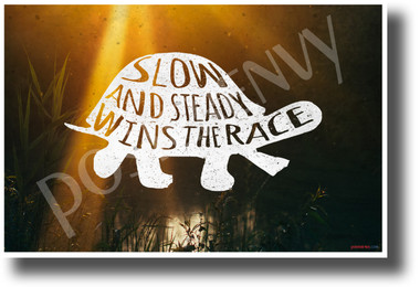 Slow and Steady Wins The Race NEW Classroom Motivational Poster (cm1200) turtle friendly 