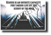 "Genius is an infinite capacity..." - Katharine Hepburn - Quote Poster (1210) NEW Classroom Motivational Poster PosterEnvy Poster