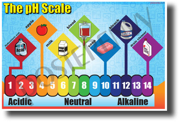 The pH Scale - NEW Classroom Science Poster