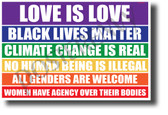 Love Is Love - NEW Political Poster