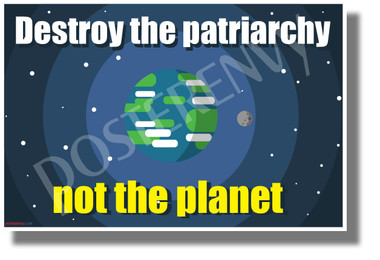 Destroy the Patriarchy Not The Planet - NEW Political Feminism Environment Poster 