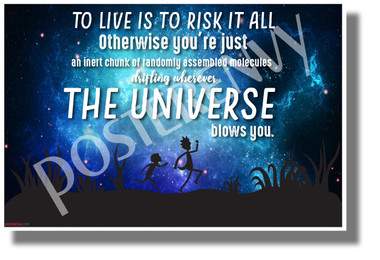 To Live is to Risk it All 1 - NEW Funny Rick & Morty POSTER (hu446)