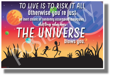 To Live is to Risk it All 2 - NEW Funny Rick & Morty POSTER 
