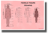 Female Figure Drawing - NEW fine arts POSTER