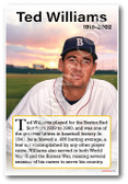 Ted Williams - Baseball Icon - Biography Poster 18 x 12 inch