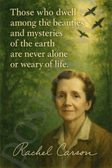 Rachel Carson Famous Quote Poster – "Beauties and Mysteries of the Earth" – 18 inch x 12 inch