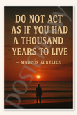 Do not act as if you had a thousand years to live - Marcus Aurelius Poster - 18 inch x 12 inch