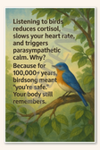 Listening to birds reduces cortisol Poster - 18 inch x 12 inch