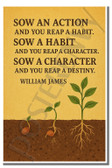Sow an action and you reap a habit - Inspirational Poster - 18 inch x 12 inch