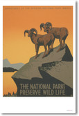 The National Parks Preserve Wildlife - NEW Vintage Reprint Poster