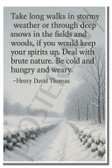 Take long walks in stormy weather or through deep snows - Henry David Thoreau - Inspirational Poster - 18 inch x 12 inch