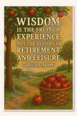 Wisdom is the fruit of experience, not the lessons of retirement and leisure - Abigail Adams Poster - 18 inch x 12 inch