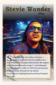 Stevie Wonder - Iconic Musician & Songwriter - Biography Poster 18" x 12"