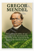 Gregor Mendel Famous Biologist Austrian biologist meteorologist mathematician Augustinian friar abbot pea plants biology dna Poster - 18 inch x 12 inch